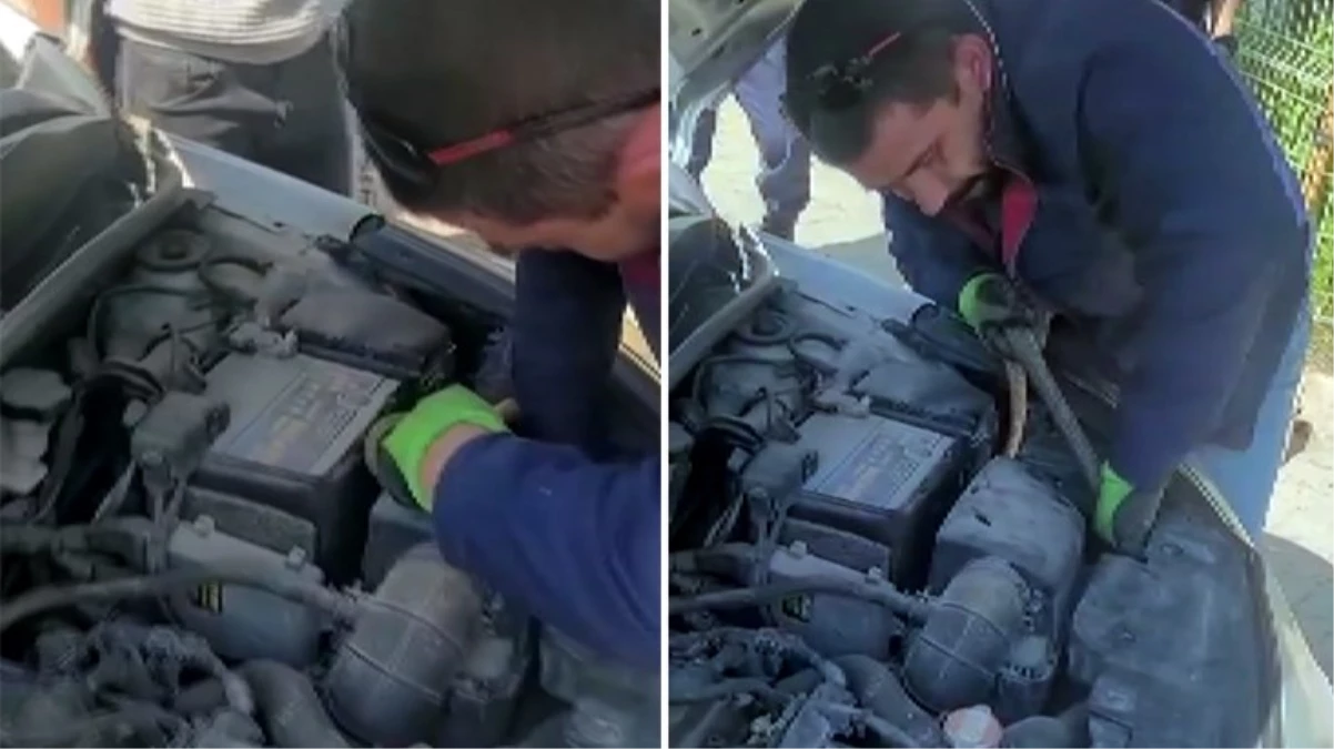 Bolu’da otomobilin motor kısmına giren 2 metre uzunluğundaki yılanı itfaiye ekipleri çıkardı
