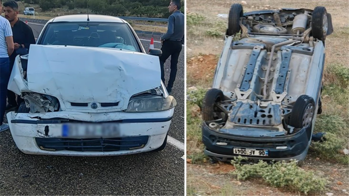 sokak köpeği, faciaya neden oldu: 1 ölü, 2 yaralı