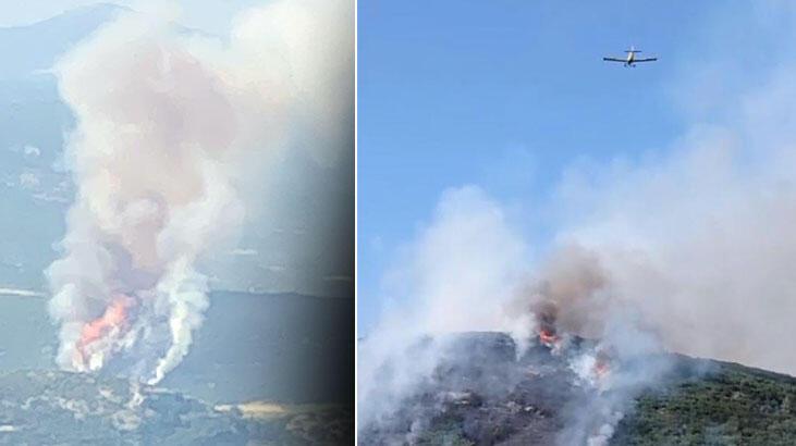 Muğla’da orman yangını kontrol altına alındı