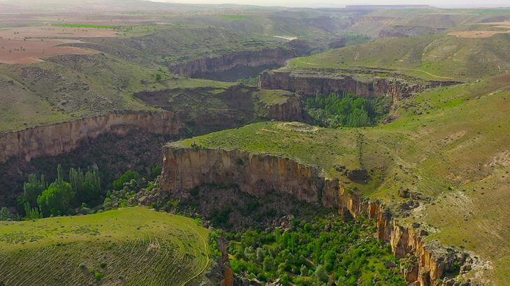 Bakan Özhaseki açıkladı! Ihlara Vadisi’nde yeni türler tespit edildi