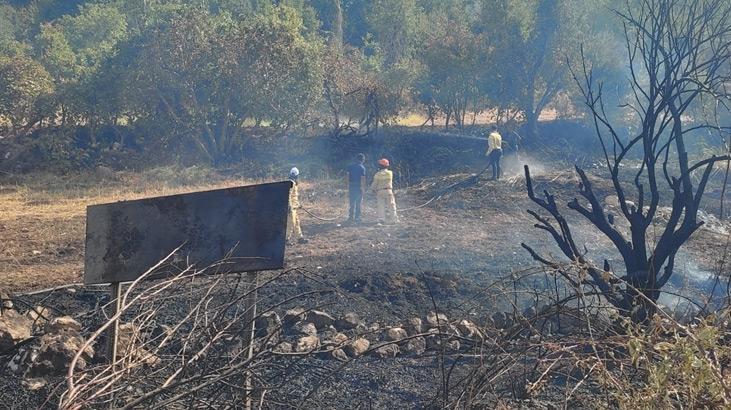 Siirt’teki yangın ormana sıçramadan söndürüldü