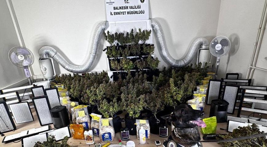 Villa değil uyuşturucu serası! Ekipler şaşkına döndü