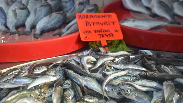 Hamsi bolluğu fiyatları düşürdü