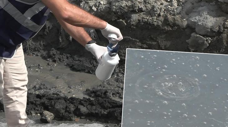 Sultangazi’de ‘kimyasal’ panik: Suya çekirdek attık, paramparça oldu