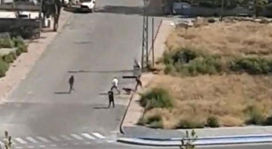 Kayseri’de dehşet anları: Köpek böyle saldırdı