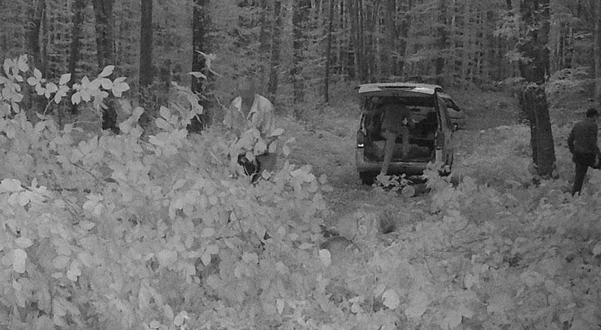 Fotokapana yakalanan 3 kişi gözaltına alındı