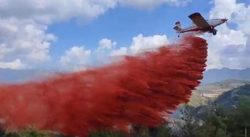 Adana’da iki mahallede orman yangını! Müdahale sürüyor