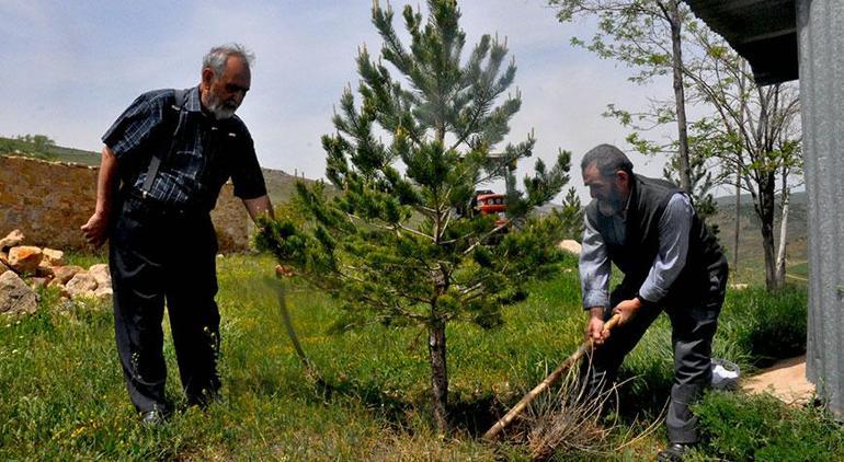 12 bin fidan diktiği ormanda çıkan yangında ölmüştü! Son yolculuğuna uğurlandı