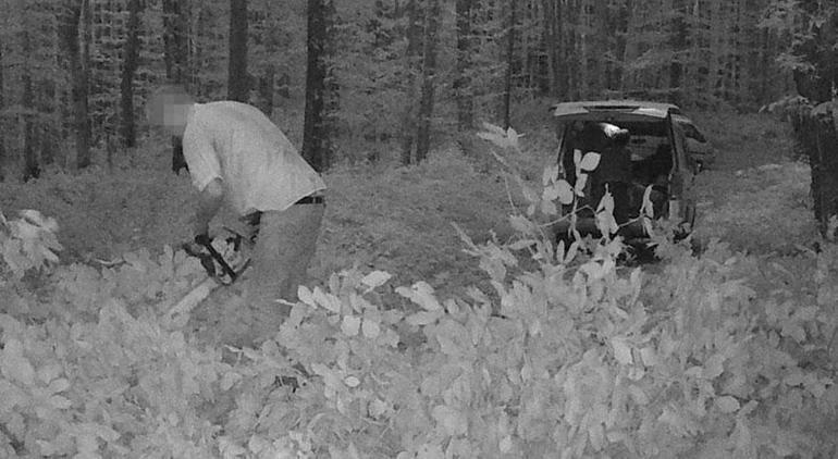 Fotokapana yakalanan 3 kişi gözaltına alındı