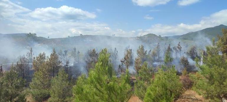 Kazdağları'nda orman yangını! Ekipler sevk edildi