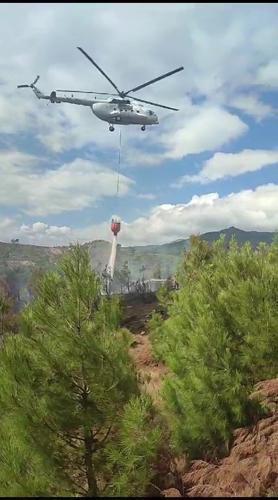 Kazdağları'nda orman yangını! Ekipler sevk edildi