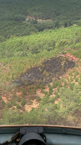 Kazdağları'nda orman yangını! Ekipler sevk edildi