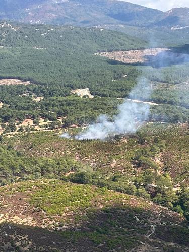 Kazdağları'nda orman yangını! Ekipler sevk edildi