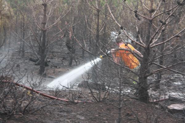 Kazdağları'nda orman yangını! Ekipler sevk edildi