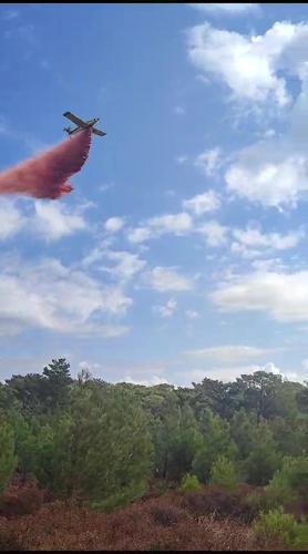 Kazdağları'nda orman yangını! Ekipler sevk edildi