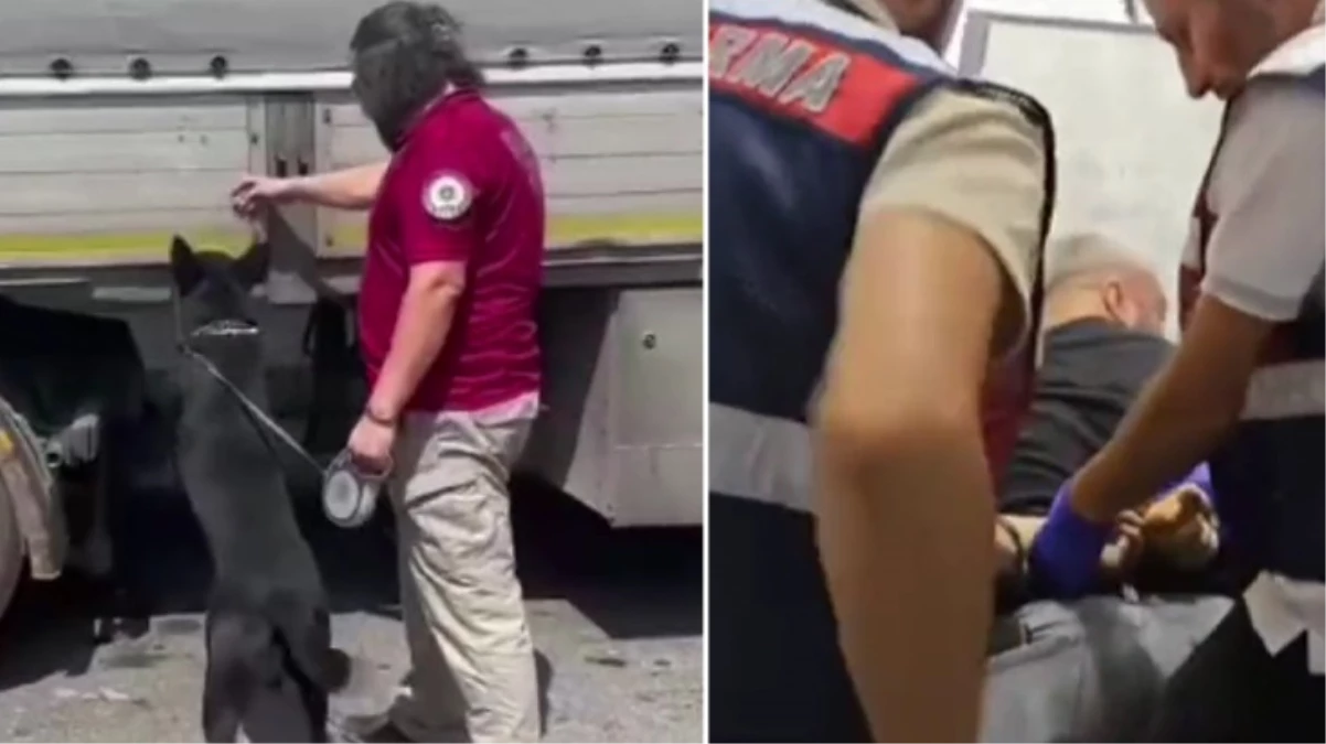 Emniyet’ten 4 ilde kritik operasyon! Baskınlarda 14 zehir taciri kıskıvrak yakalandı