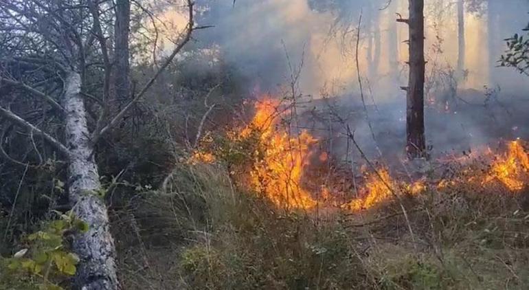 İstanbul’da 2 ilçede çıkan yangın söndürüldü