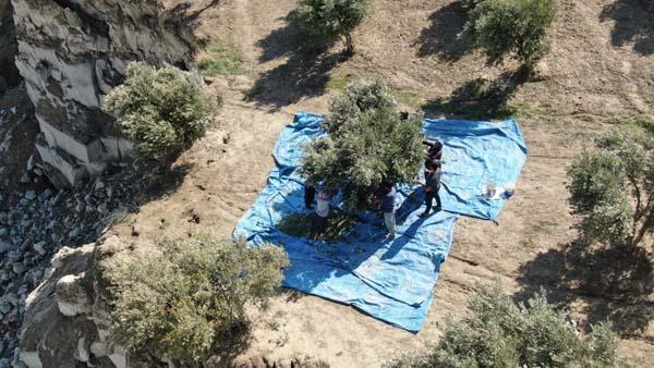 Fay ikiye böldü, tedirgin eden hasat başladı: Korkuyorum, aşağısı görünmüyor