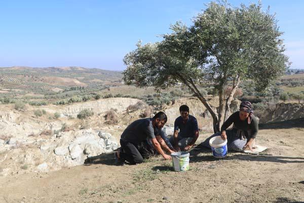 Fay ikiye böldü, tedirgin eden hasat başladı: Korkuyorum, aşağısı görünmüyor