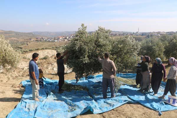 Fay ikiye böldü, tedirgin eden hasat başladı: Korkuyorum, aşağısı görünmüyor