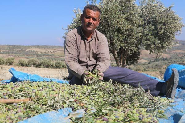 Fay ikiye böldü, tedirgin eden hasat başladı: Korkuyorum, aşağısı görünmüyor