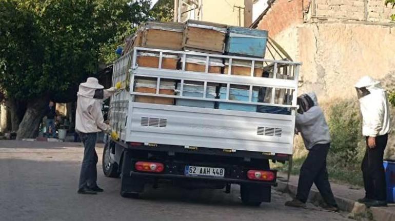 Devrilen kovandan çıkan arılar mahalleyi istila etti! Yaralananlar var