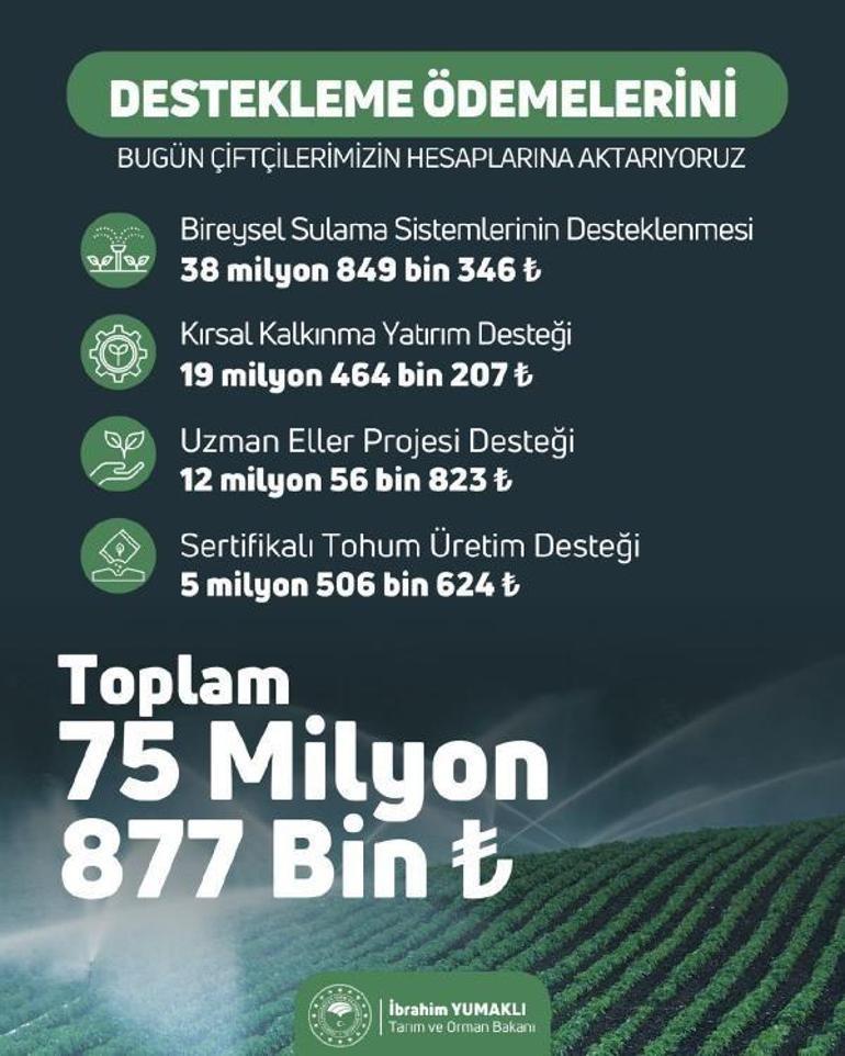 75 milyon 877 bin lira destek ödemesi hesaplara yatırılacak