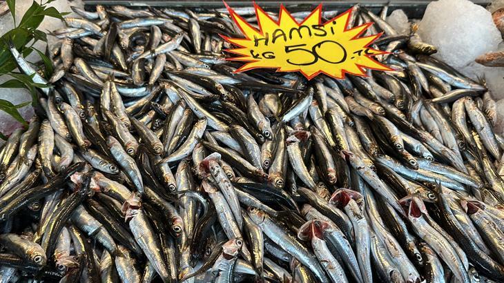 150 liraya kadar çıkan hamsi, 50 liraya düştü