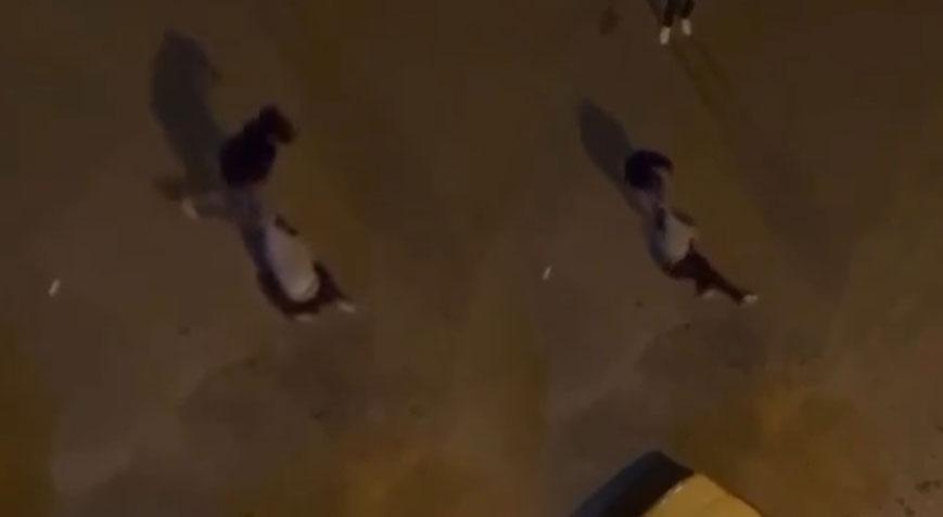 ‘İbret olsun’ diye! Mahalleli önce dövdü sonra sürükleyerek dolaştırdı