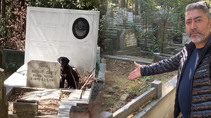 Başıboş köpekler Süleyman Seba’nın mezarını tahrip etti: Tahtalara kadar kazıyorlar