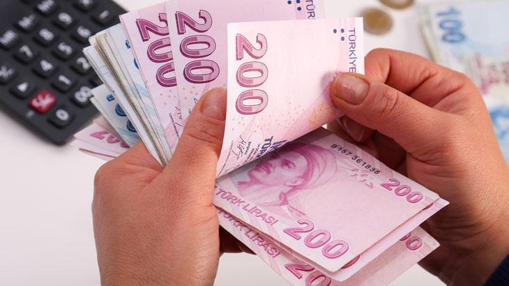 75 milyon 877 bin lira destek ödemesi hesaplara yatırılacak