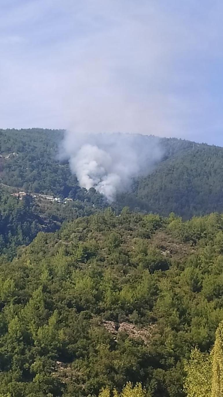 Antalya'da orman yangını! Müdahale sürüyor