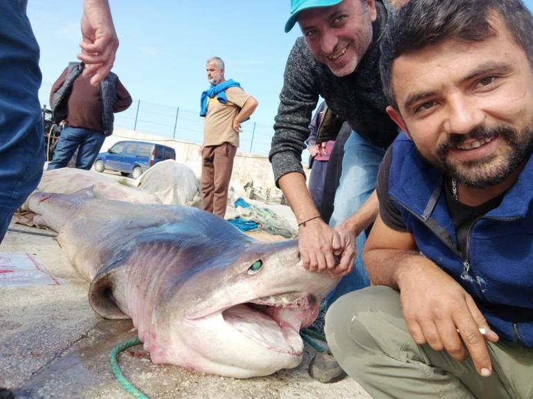 Denize attığı ağ bir anda ağırlaştı! Kıyıya sürükleyince gözlerine inanamadı