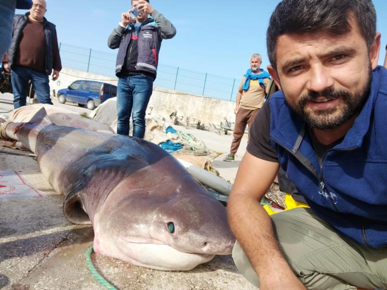 Denize attığı ağ bir anda ağırlaştı! Kıyıya sürükleyince gözlerine inanamadı