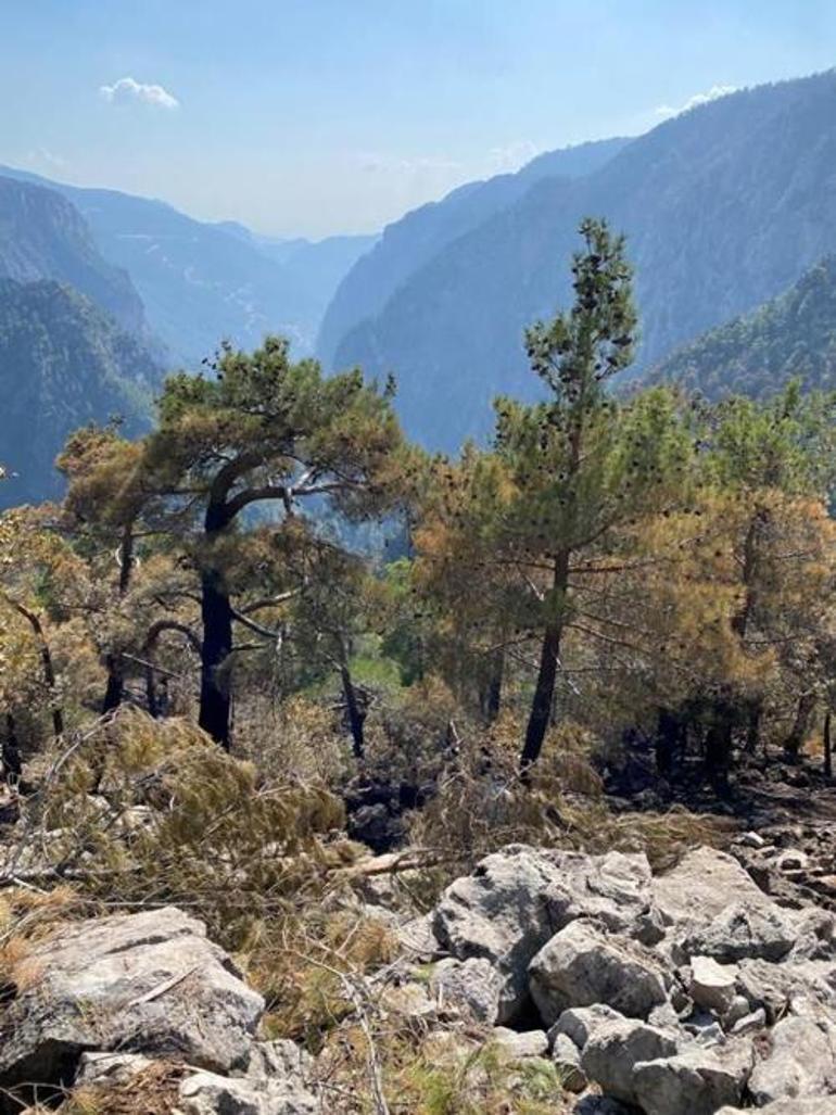 Karanlıkdere Kanyonu'nda çıkan yangın günler sonra kontrol altına alındı