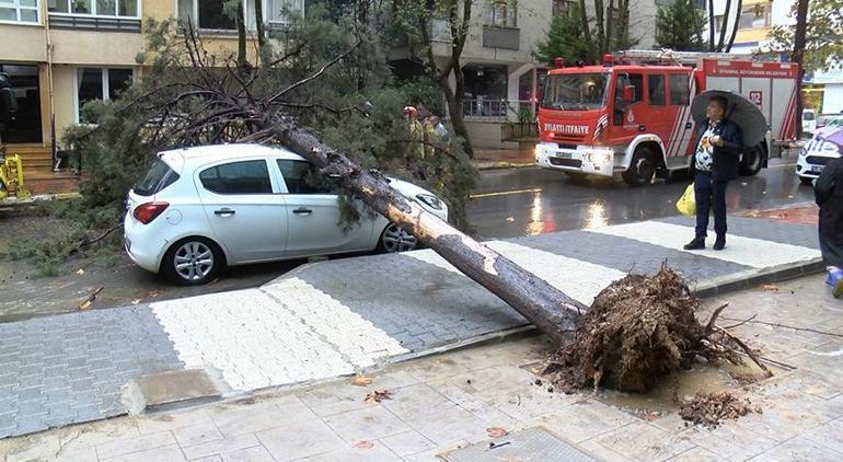 Maltepe'de korku dolu anlar! Altında kalmaktan son anda kurtuldu