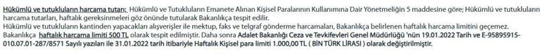 Dilan Polat, cezaevinde ne kadar harcama yapabilecek? Günlük 750 bin liradan, 133 liraya!