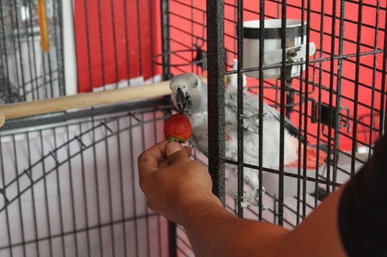 200 bin lira teklif ettiler, satmadı: Sonuçta evlat satılmaz