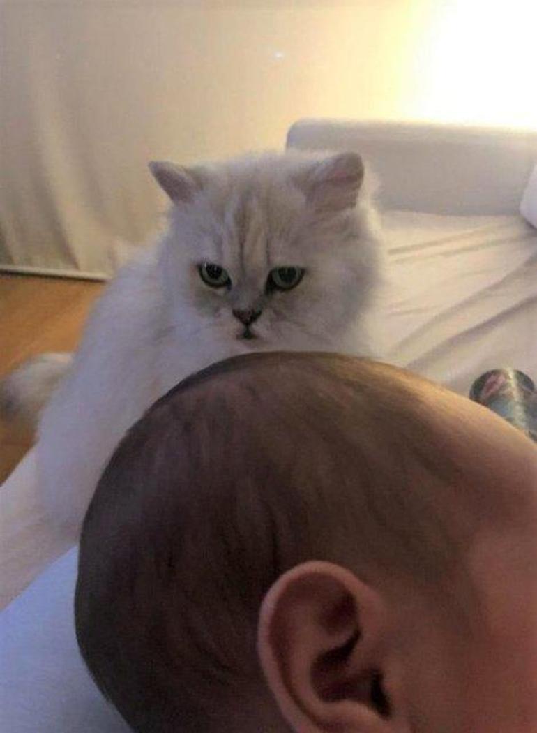 Hazal Kaya: Hep yattığın yerine bakarak ağlıyorum