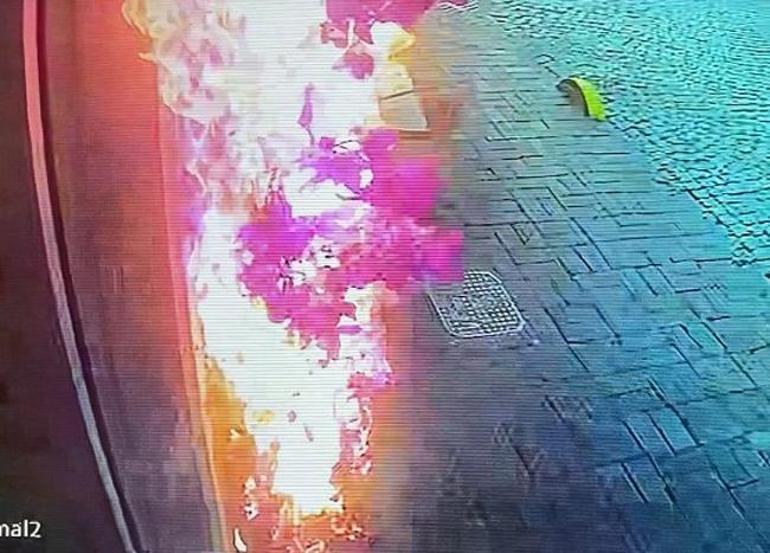 Çiçek koparmak istedi 100 bin liralık zarar verdi