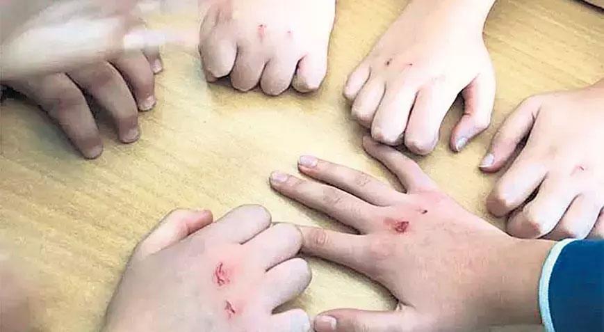 Eğer vazgeçiremiyorsanız dikkat! Öğrencilerin kanlı oyununa ilişkin uzman isim uyardı