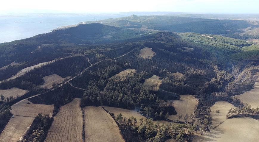 Çanakkale’de orman yangını! Soğutma çalışmaları devam ediyor