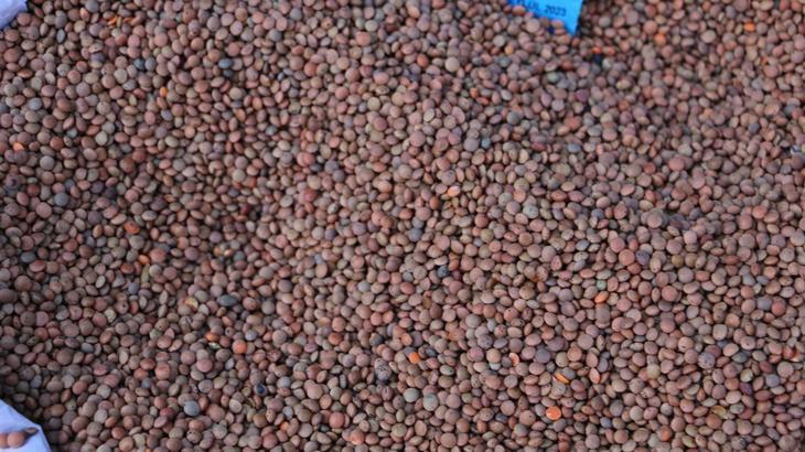 Çiftçilere 13 milyon TL’lik destek