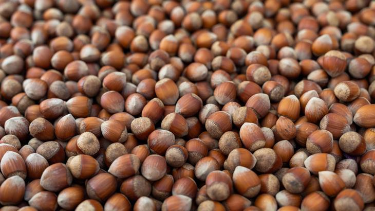 Fındık ihracatından 356 milyonluk döviz girdisi