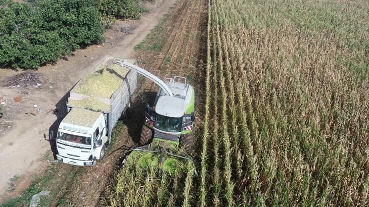 Üreticiye silajlık yem desteği