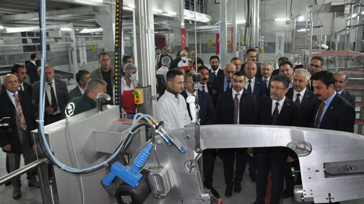 Bakan Yumaklı açıkladı! Doğan buzağılar için destek geliyor