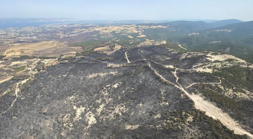 Çanakkale’deki 3 büyük orman yangını ile ilgili korkunç bilanço