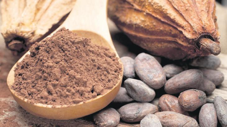 Kakao fiyatları 45 yılın zirvesinde