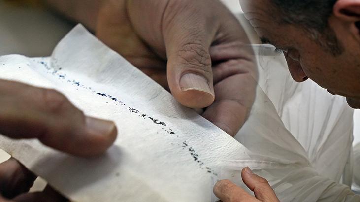 Profeserden uyarı: ‘Tekrar insanlara saldırdılar, kan emdiler, ve yumurtladılar’