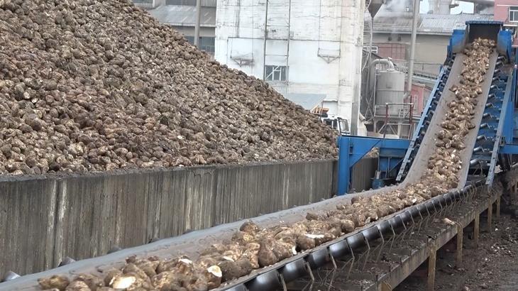 Şeker pancarıyla 2,5 milyar TL’lik katkı